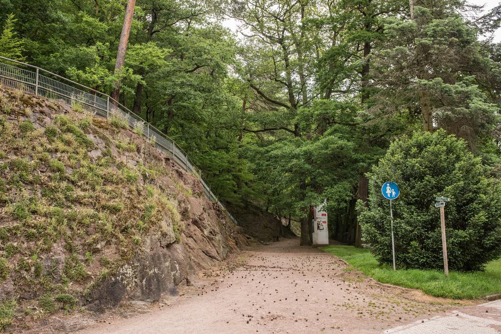 Loftwohnung Mit Sauna - Natur Und Kultur In Eisenach Erleben Und Geniessen Exterior photo